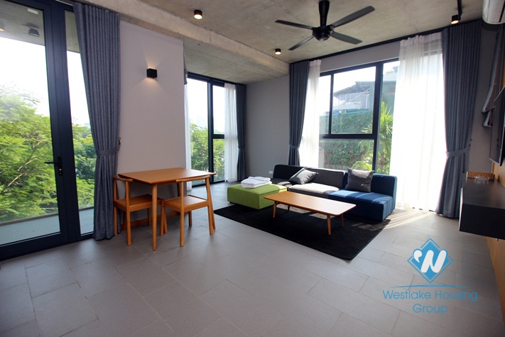 Well design two bedrooms apartment for rent in Ho Ba Mau, Dong Da , Hai Ba Trung,district, Ha Noi